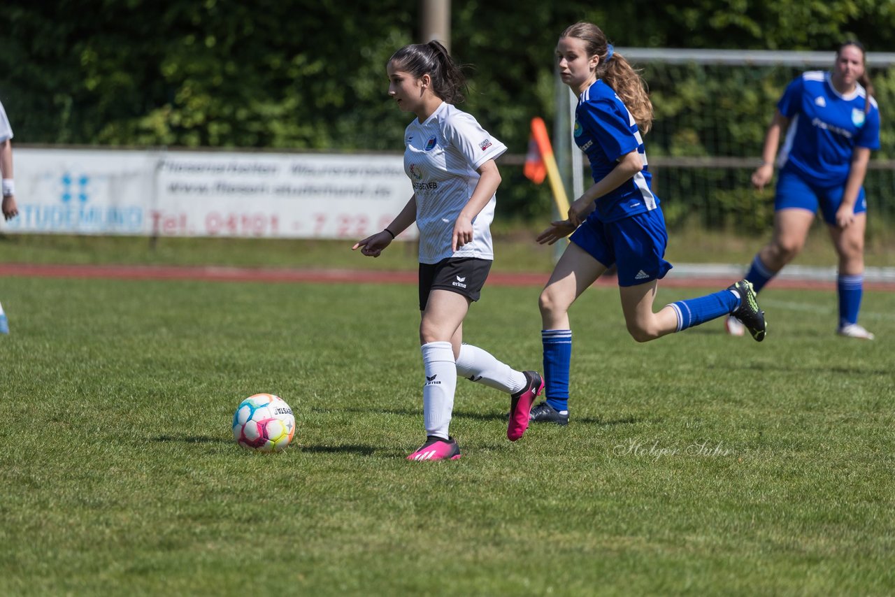 Bild 231 - wBJ VfL Pinneberg - Harksheide : Ergebnis: 2:1